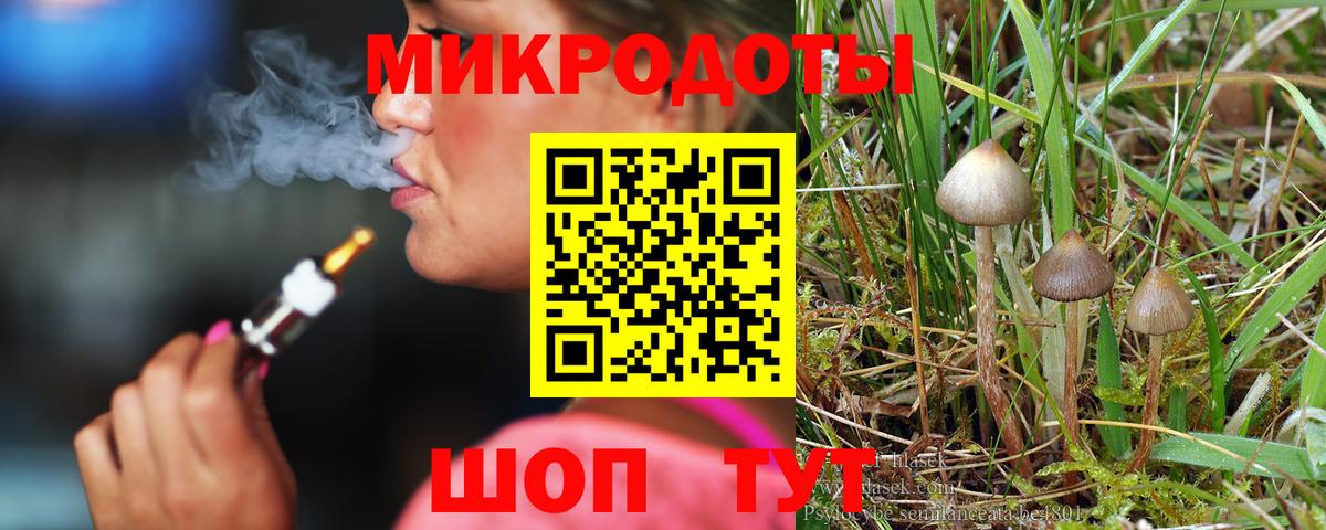 Галлюциногенные грибы Psilocybe  Вход с VPN  Братск  Галлюциногенные грибы MAGIC MUSHROOMS 